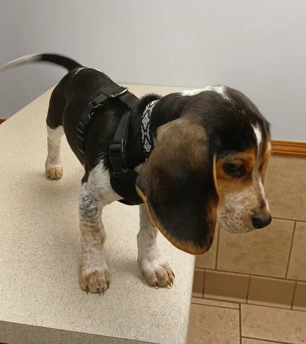 Southside Veterinary Clinic Picture 2