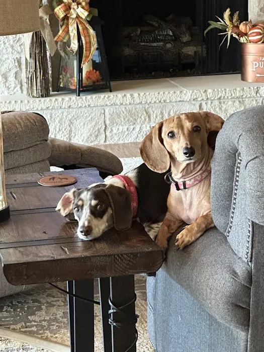 Southside Veterinary Clinic Picture 6