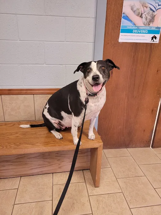 Southside Veterinary Clinic Picture 9