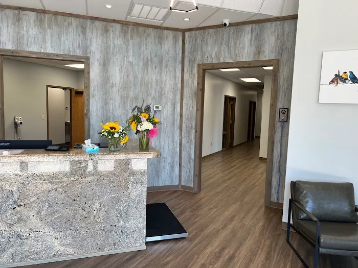 South Tulsa Veterinary Hospital Picture 2