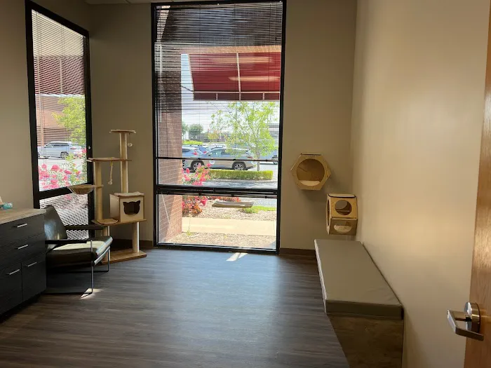 South Tulsa Veterinary Hospital Picture 3