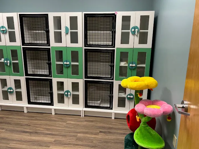 South Tulsa Veterinary Hospital Picture 6