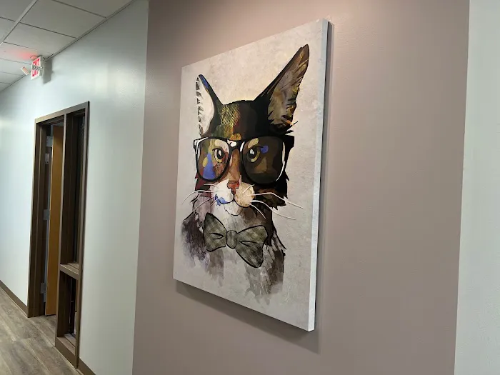 South Tulsa Veterinary Hospital Picture 4