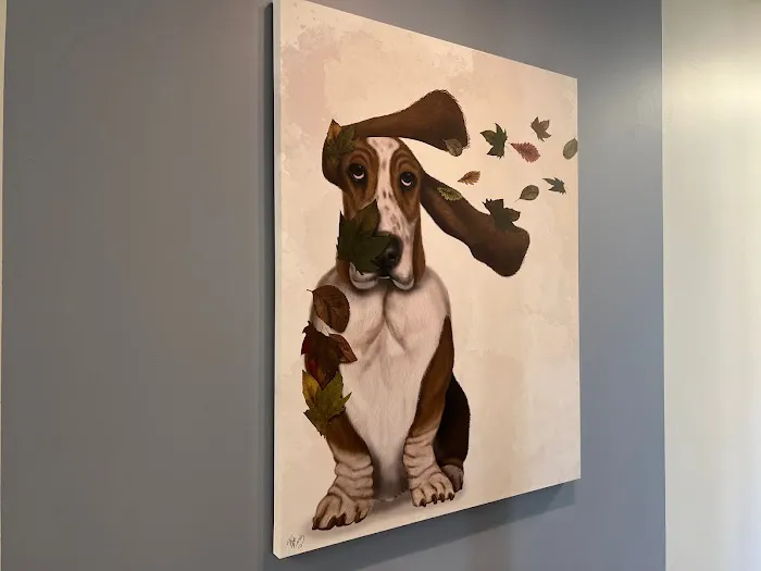 South Tulsa Veterinary Hospital Picture 9