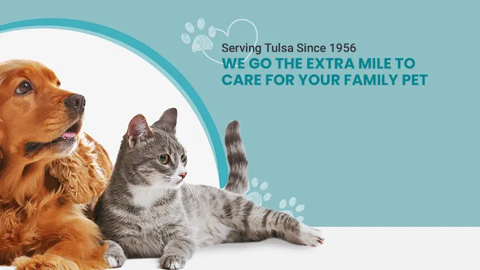 Southern Hills Veterinary Hospital Picture 2