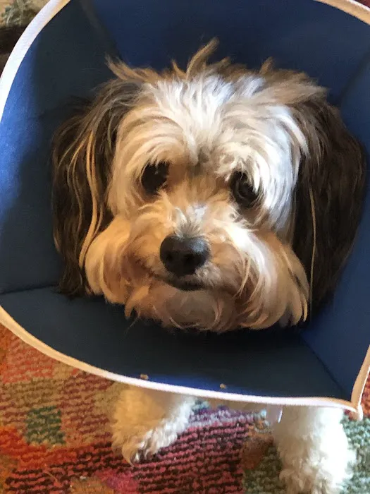 Southern Hills Veterinary Hospital Picture 1