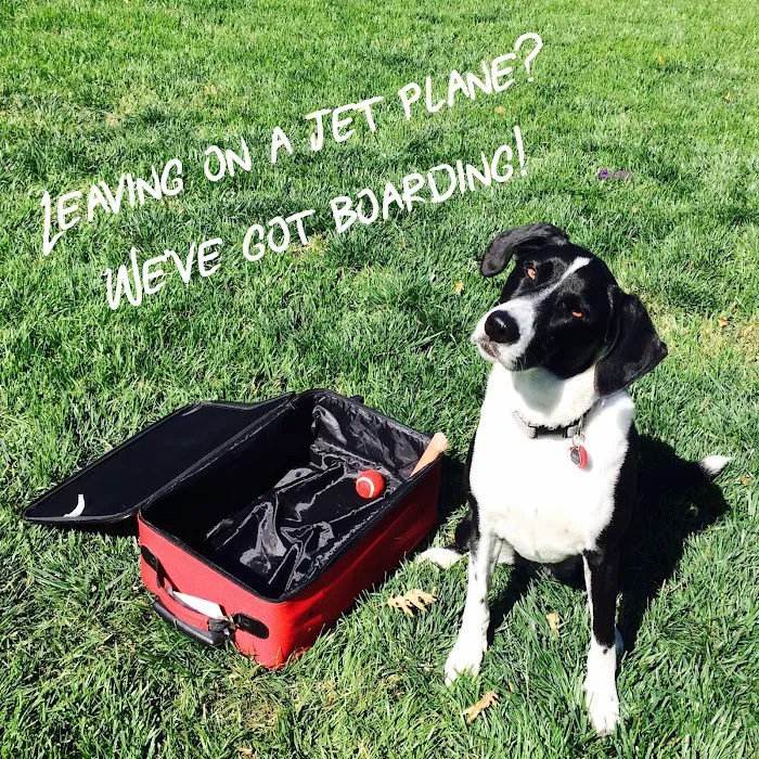 Southern Hills Veterinary Hospital Picture 7