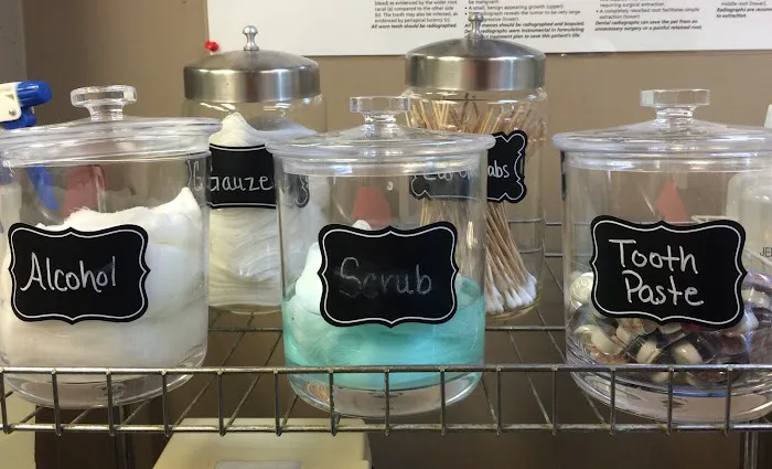 Southern Hills Veterinary Hospital Picture 5