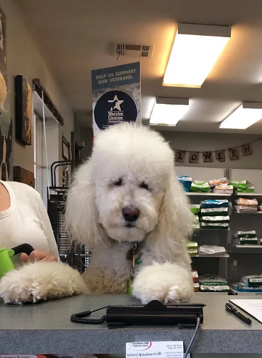 Southern Hills Veterinary Hospital Picture 3