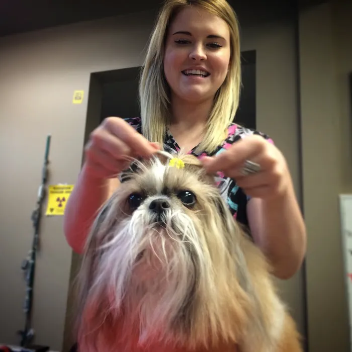 Southern Hills Veterinary Hospital Picture 4