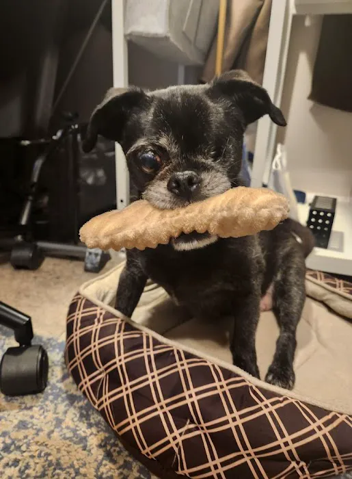 Banfield Pet Hospital Picture 2