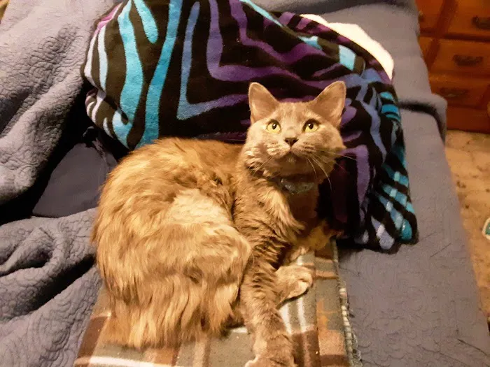 Banfield Pet Hospital Picture 3