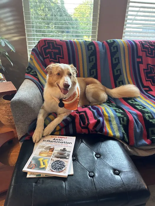 Banfield Pet Hospital Picture 6