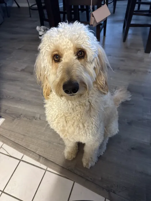 Banfield Pet Hospital Picture 5