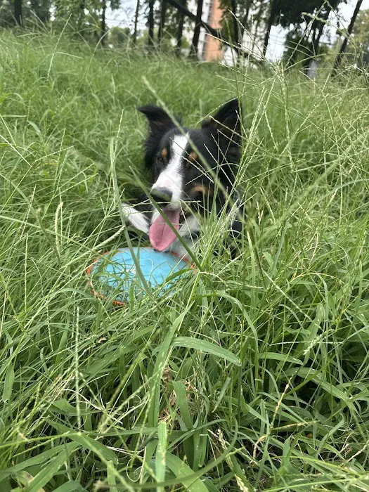 Banfield Pet Hospital Picture 4