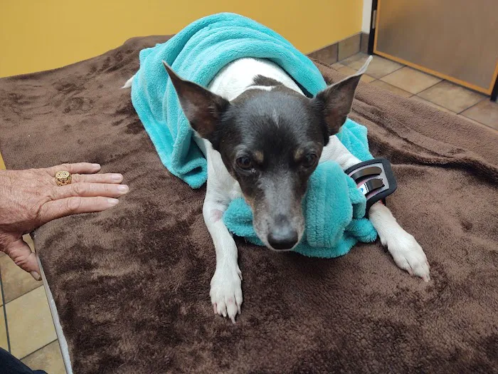 Banfield Pet Hospital Picture 8