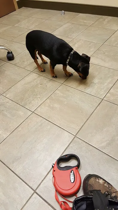 Oklahoma Veterinary Specialists Picture 7