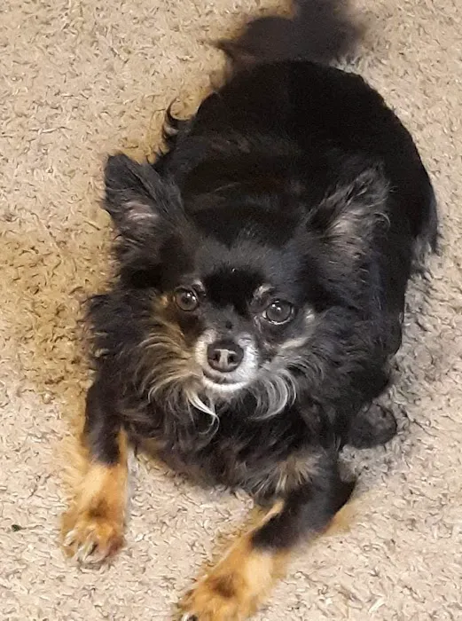 Hammond Animal Hospital Picture 2