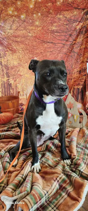 Hammond Animal Hospital Picture 1