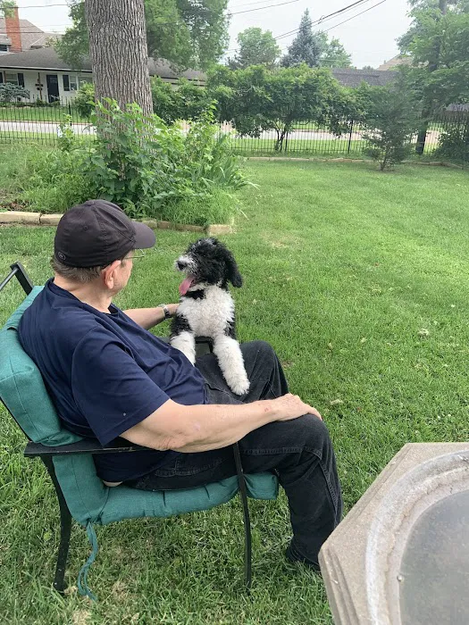 Hammond Animal Hospital Picture 3