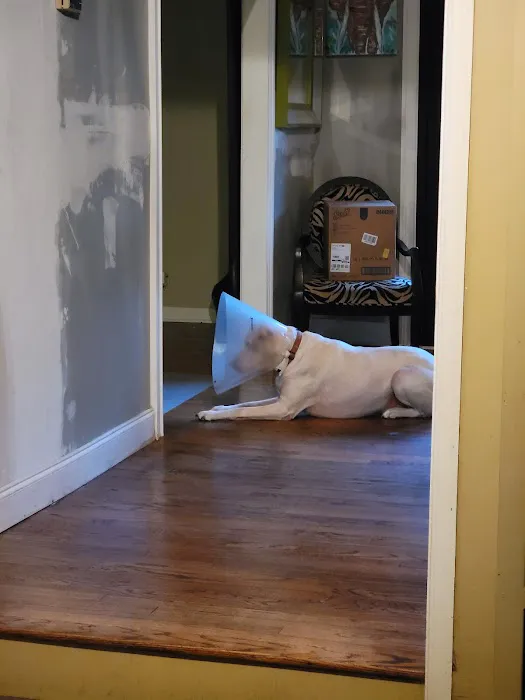 Hammond Animal Hospital Picture 9