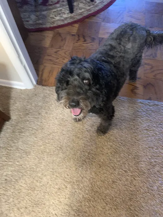 Hammond Animal Hospital Picture 6