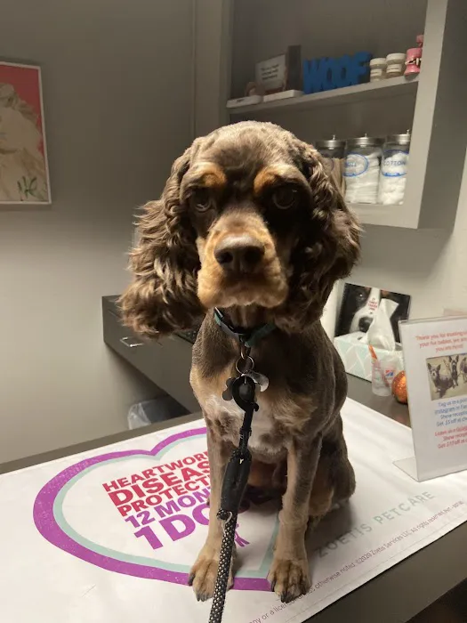 Hammond Animal Hospital Picture 10