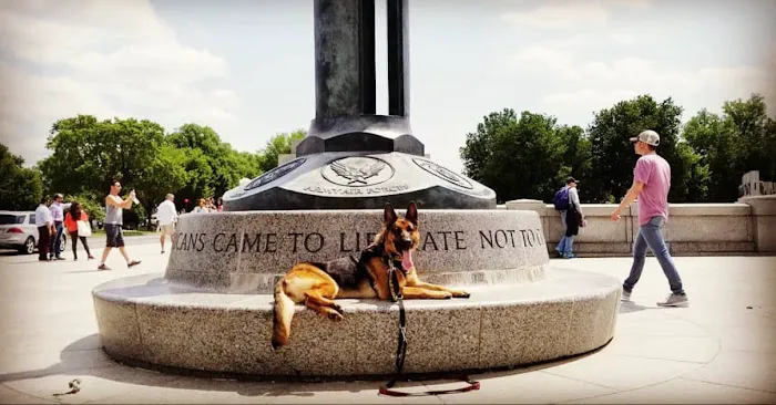 Fort Smith Animal Emergency Picture 3