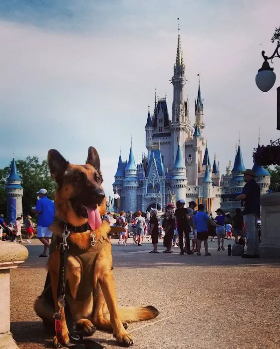 Fort Smith Animal Emergency Picture 2