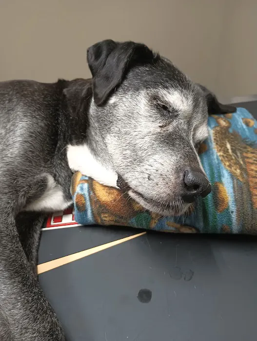 Hubbs Animal Clinic Picture 3