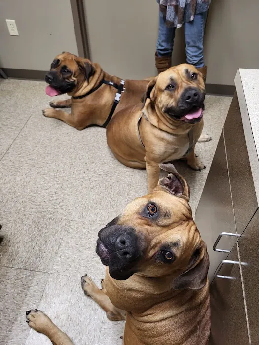 Hubbs Animal Clinic Picture 1