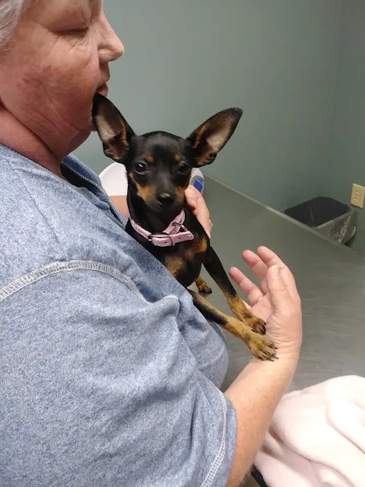 Hubbs Animal Clinic Picture 7