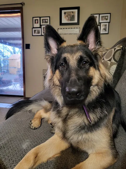 Hubbs Animal Clinic Picture 6