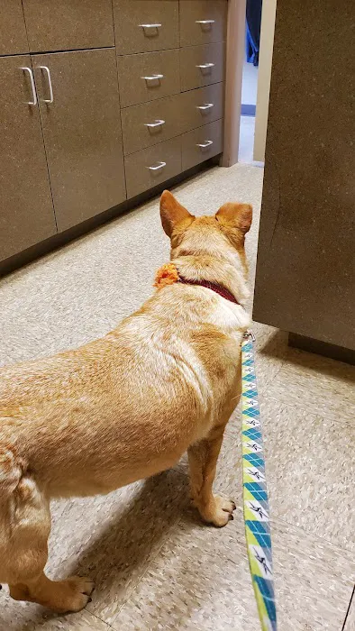 Hubbs Animal Clinic Picture 5