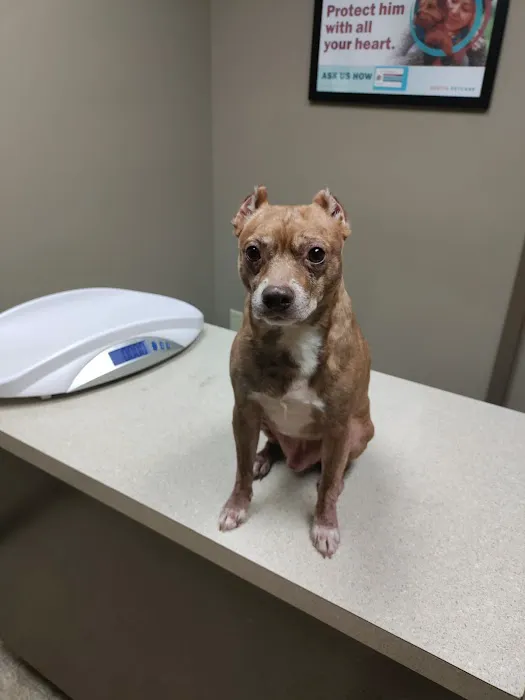 David Ford DVM Picture 1