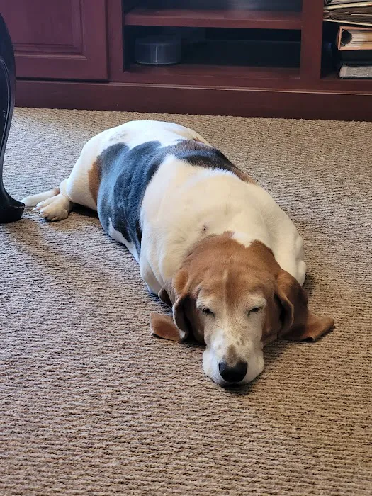 All Animal Health Center Picture 5