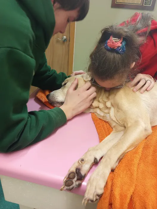 All Animal Health Center Picture 3