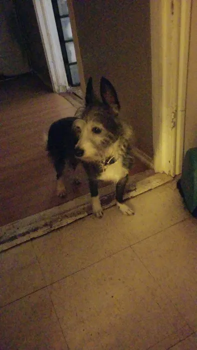 All Animal Health Center Picture 6