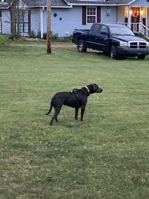 Alma Animal Clinic Picture 2