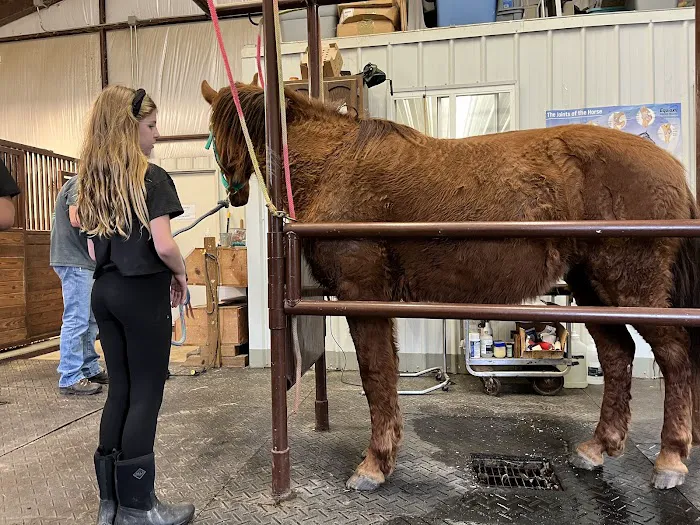 Alma Animal Clinic Picture 4