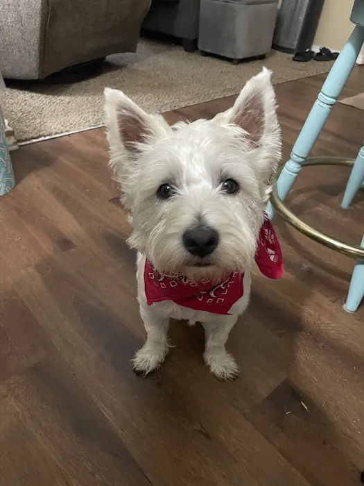 Alma Animal Clinic Picture 3