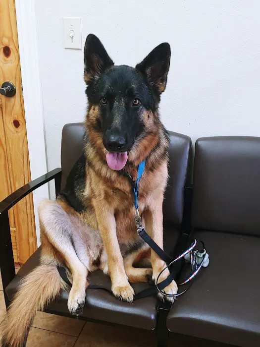 Alma Animal Clinic Picture 6