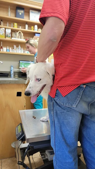 Alma Animal Clinic Picture 9