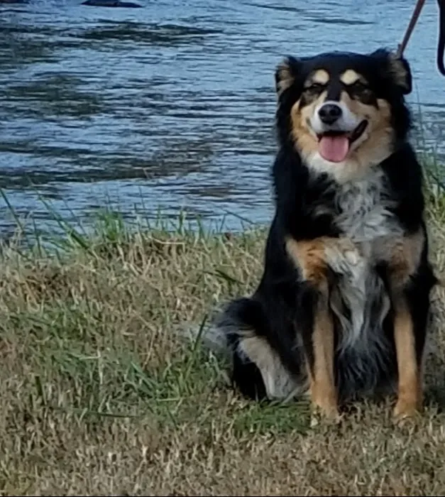 Alma Animal Clinic Picture 10