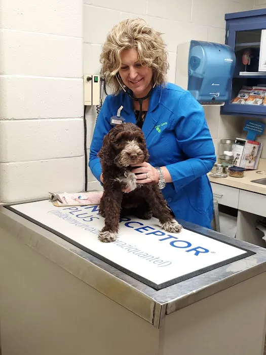 Eastside Animal Health Center Picture 8