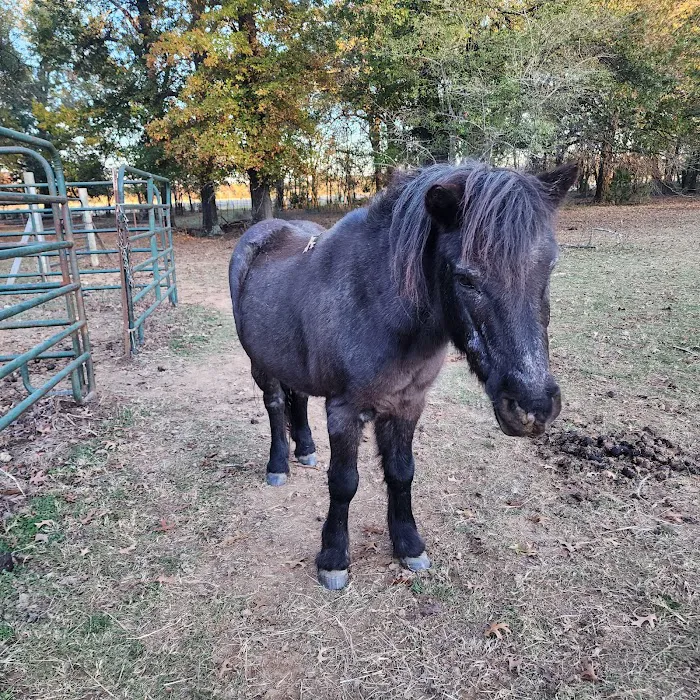 Mountain View Animal Clinic: Joe DuBois DVM Picture 6