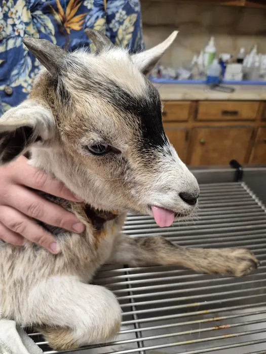 Mountain View Animal Clinic: Joe DuBois DVM Picture 10