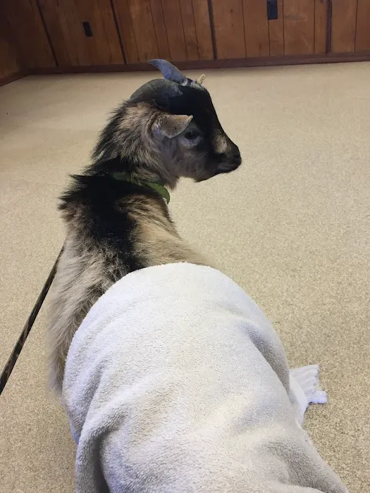 Mountain View Animal Clinic: Joe DuBois DVM Picture 9