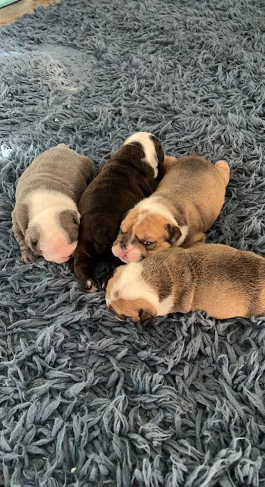 Poteau Valley Veterinary Hospital Picture 4