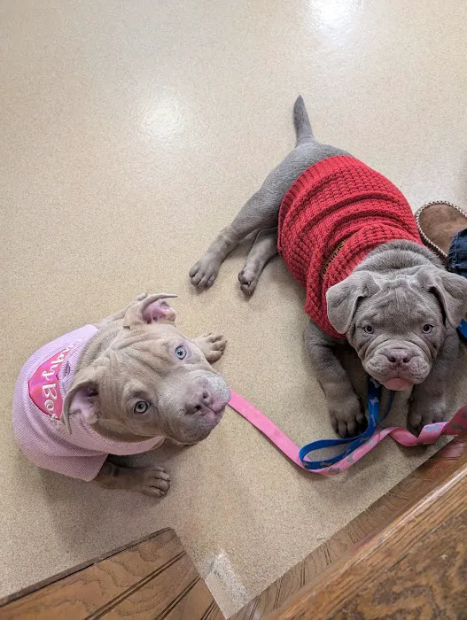 Poteau Valley Veterinary Hospital Picture 3